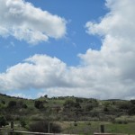 Looking across Lawrence Moore Park in Paso Robles from Riverbank to the 101 Freeway and Beyond