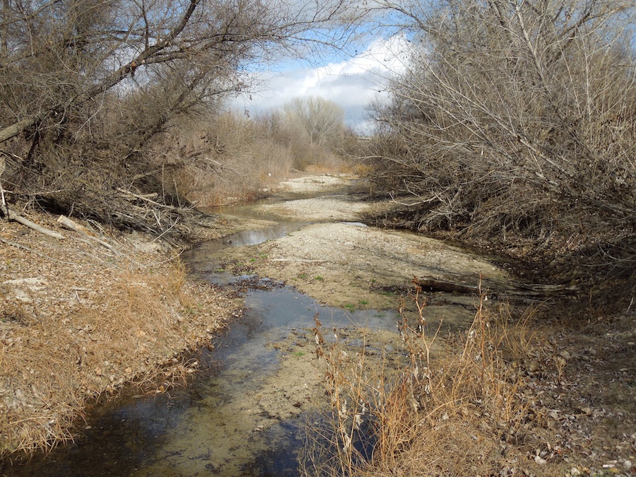 A Bit of the Salinas River in Paso Robles, 1/21/2012 A Bit of the Salinas River in Paso Robles, 1/21/2012