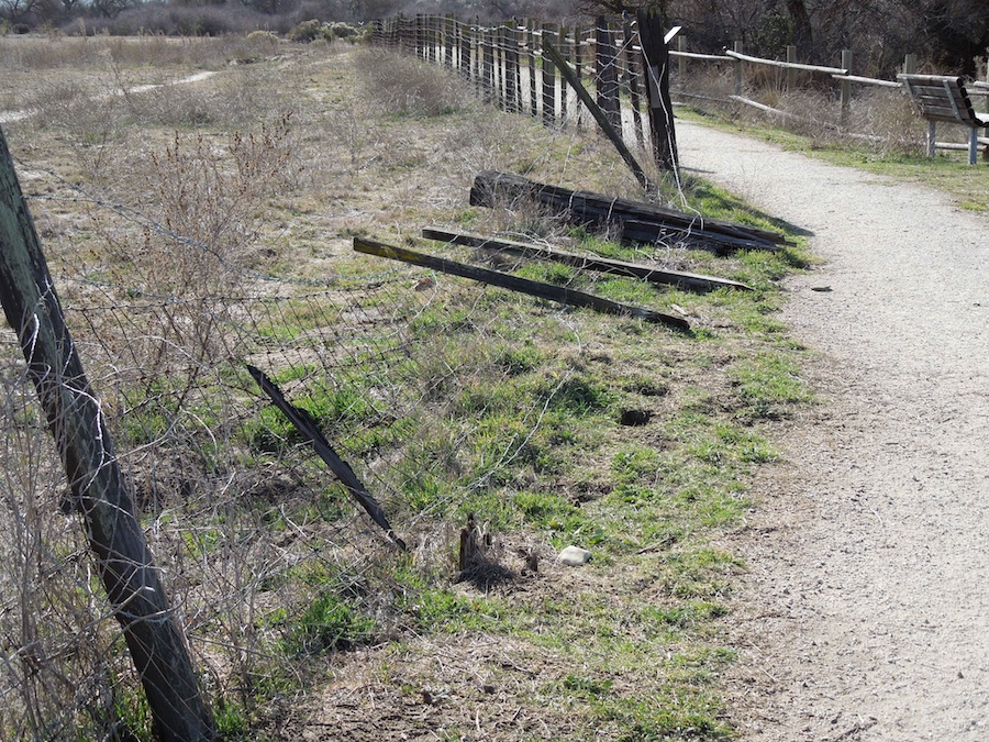 Broken Fence, Larry Moore Park, January 21, 2012 Broken Fence, Larry Moore Park, January 21, 2012