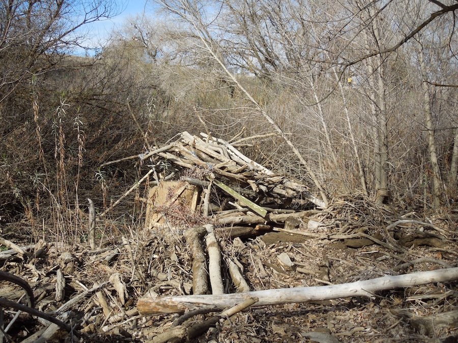 Home of a River Inhabitant, Salinas River, 1/21/2012 Home of a River Inhabitant, Salinas River, 1/21/2012