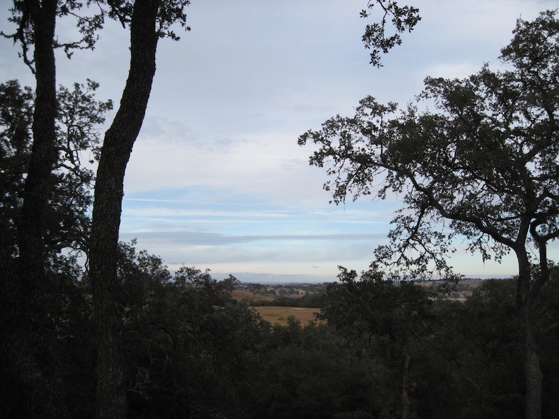 Do You Live in a Rural or Semi Rural Area?